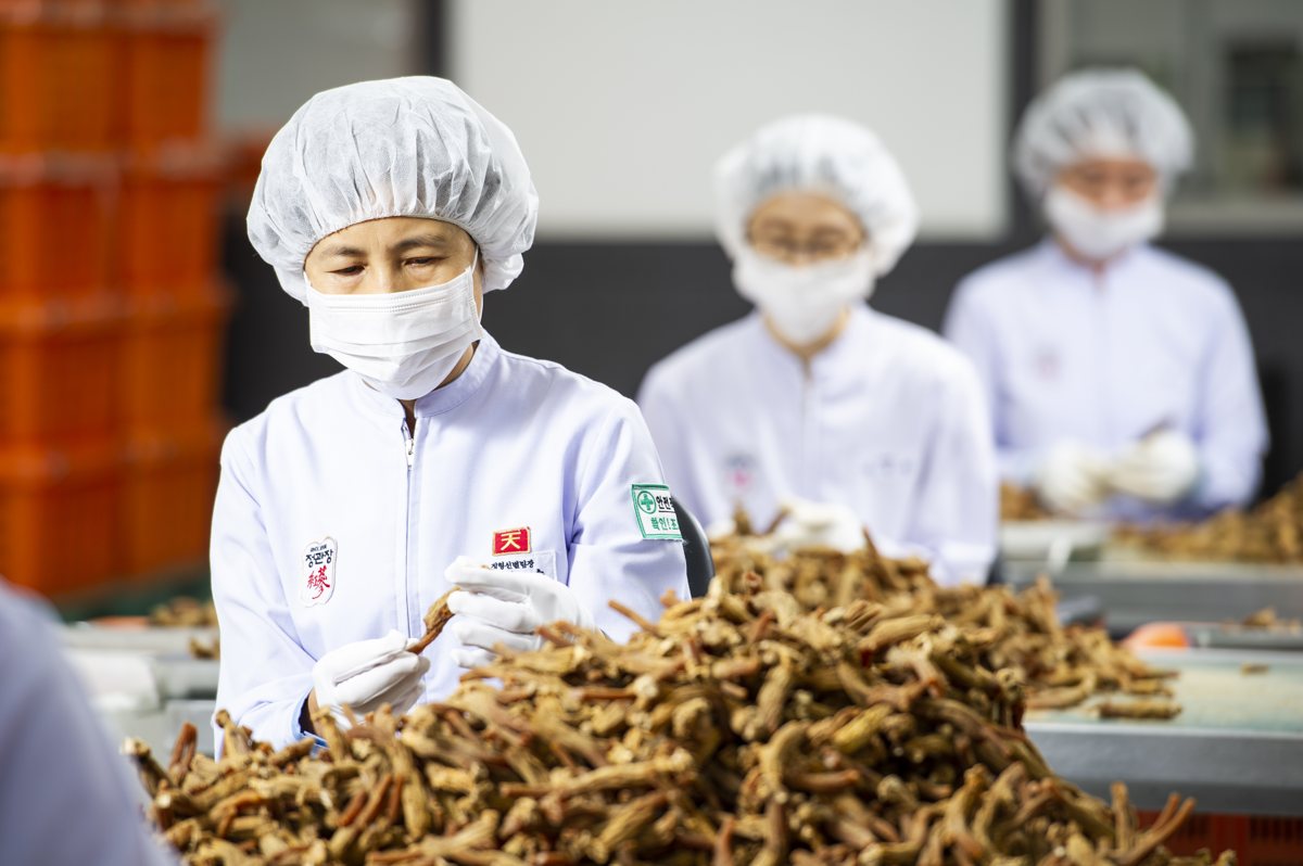 專業品管人員把關每批紅參