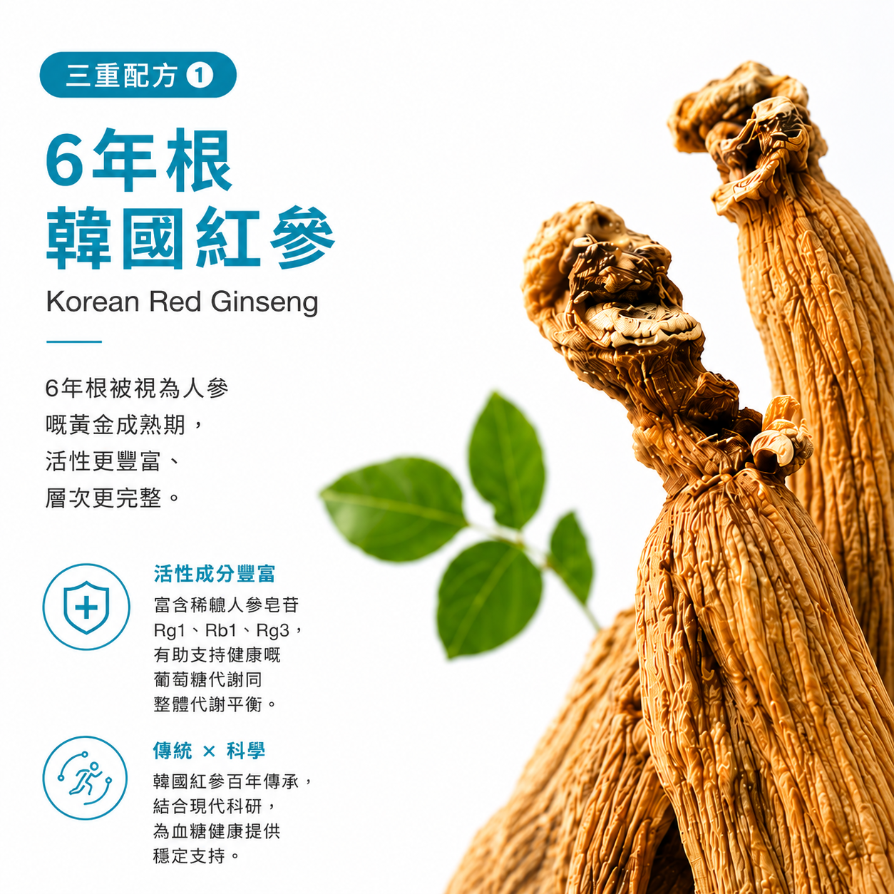 韓國紅參